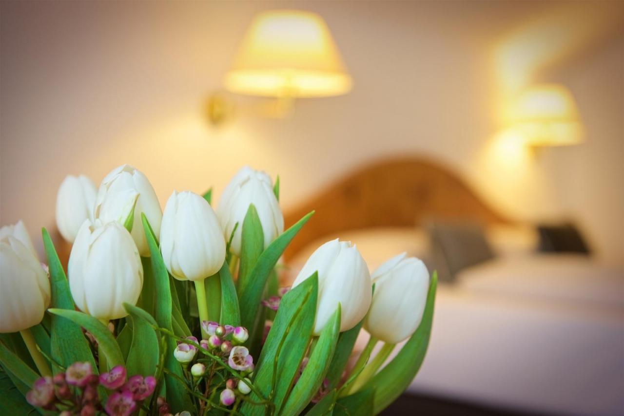 Concordia Vitalhotel & Spa اوبرستوفن المظهر الخارجي الصورة